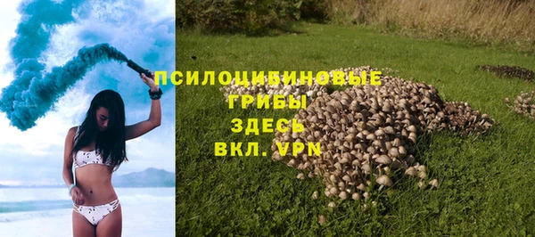 амф Абинск