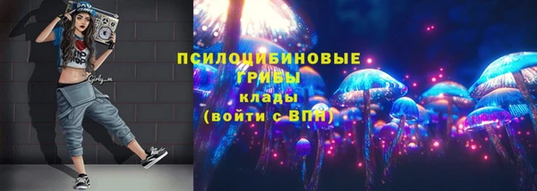 амф Абинск