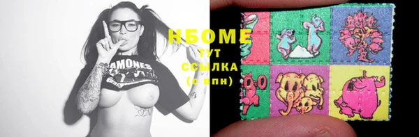 ECSTASY Алзамай