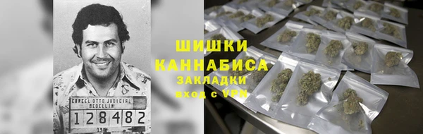амф Абинск