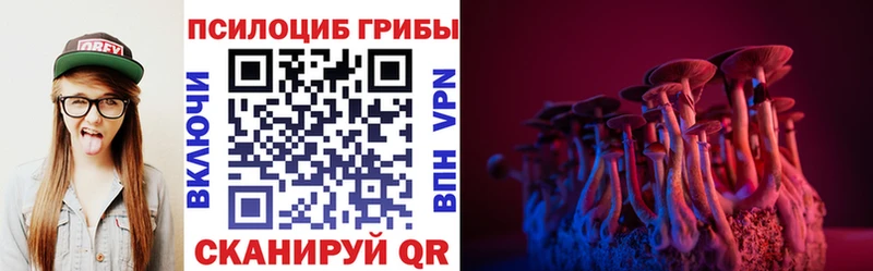 купить   Югорск  Псилоцибиновые грибы Cubensis 